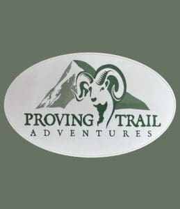Logo Sticker