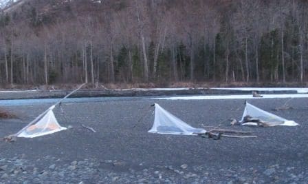 Camp - 1st Night